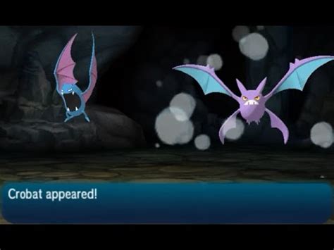 does crobat learn thunderwave.